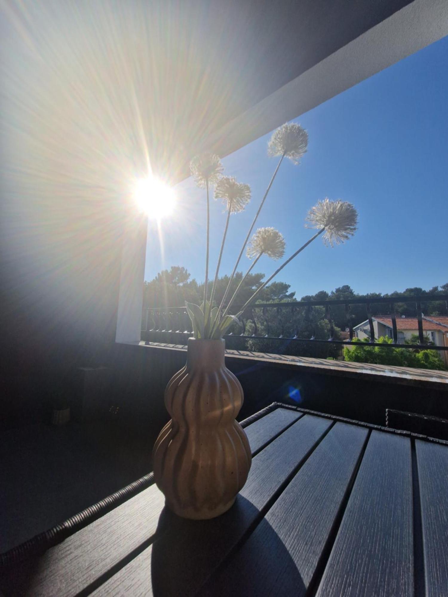 Apartments Jasna Rovinj Cameră foto